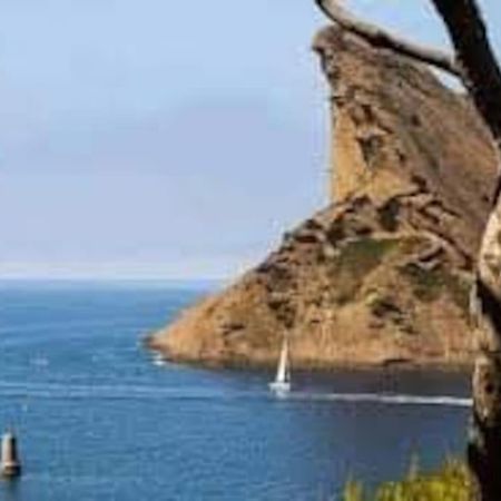 Appartement Type 3 La Ciotat Dış mekan fotoğraf